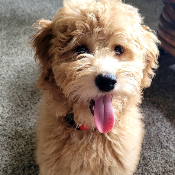 Meet your Posher, Ashley - Picture 11 of 11